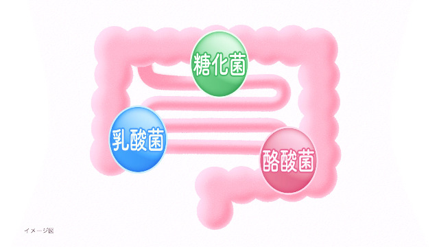 ビオスリーHi錠570錠２つ Amazon | 【Amazon.co.jp 限定】ビオスリーHi錠 570錠【指定医薬部外品