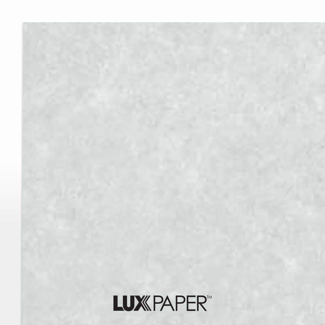8 1/2 x 11 karton - (250 Ilość.) Blue Parchment