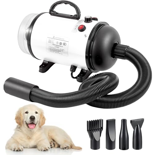 Toelettatura Cani Cosa è - Scopri Servizio Di Toelettatura Ad Opera - Foto 6