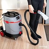 LEHMANN B0GFXLHK2P lato 2