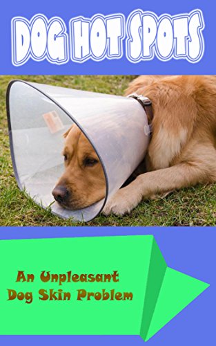 dog skin problems hot spots