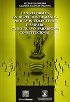 REFORMAS EN DERECHOS HUMANOS PROCESOS COLECTIVOS Y AMPARO 6070920937 Book Cover