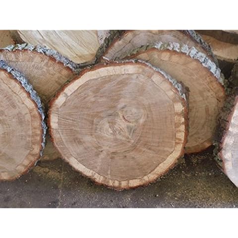 Baumscheibe, Holzscheibe, ca. 40 x 3 cm, basteln, Holz Cover