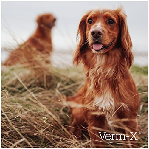 Verm-X Leckerchen für Hunde