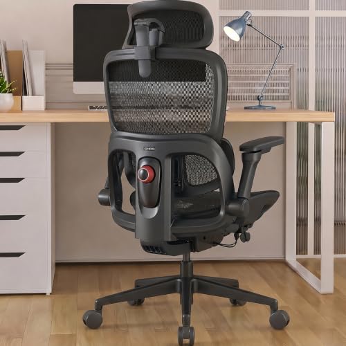SIHOO B300 Pro Ergonomic Office Chair Adaptive Lum Review