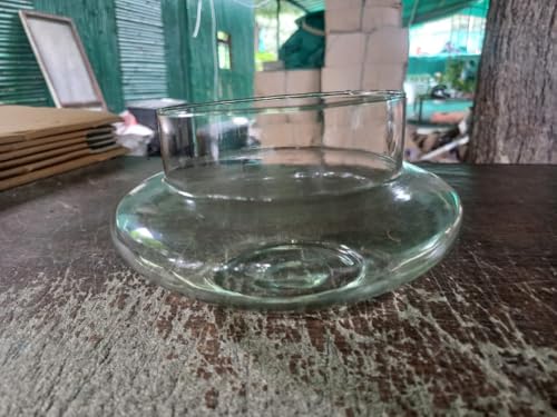 Image of Aradhya Enterprises Pots Glass pots for Lucky Bamboo Bowl transperant Glass Bowl