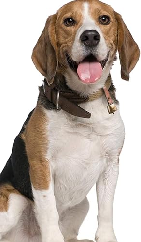 Miniatura 3 de 1 collar de perro, campanas de hierro para vaca, hacedores de ruido, perro de campo, vaca, oveja, ganado, campana con correa de botón de cuero,