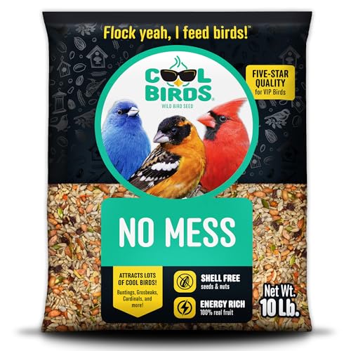 Cool Birds No Mess with Fruit Wild Bird Seed – 10 lb. 100% Edible Shell-Free Blend with Sunflower Hearts, Peanuts, Tree Nuts, Pumpkin Seed & Real Fruit – No Waste Bird Seed for Outside Feeders