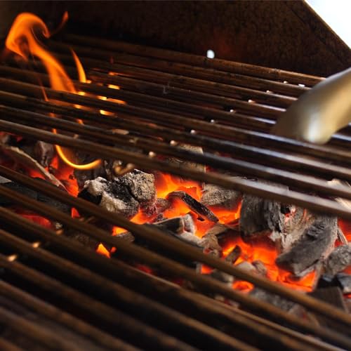 Encuentra la mejor selección de Carbón vegetal premium para parrilla los más recomendados. 17 Imagen adicional