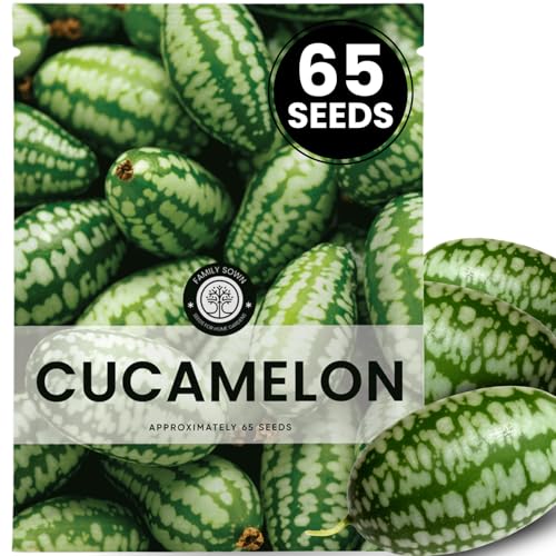Family Sown | Fruits | Cucamelon | 65 Premium Seeds for Planting | Mini Watermelon-Like Fruits for the 2026 Season 200-Milligram Pouch