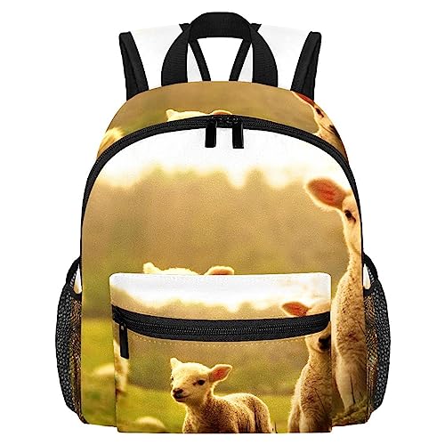 Sac d'école primaire léger de 30 cm, la solution aux cartables trop lourds