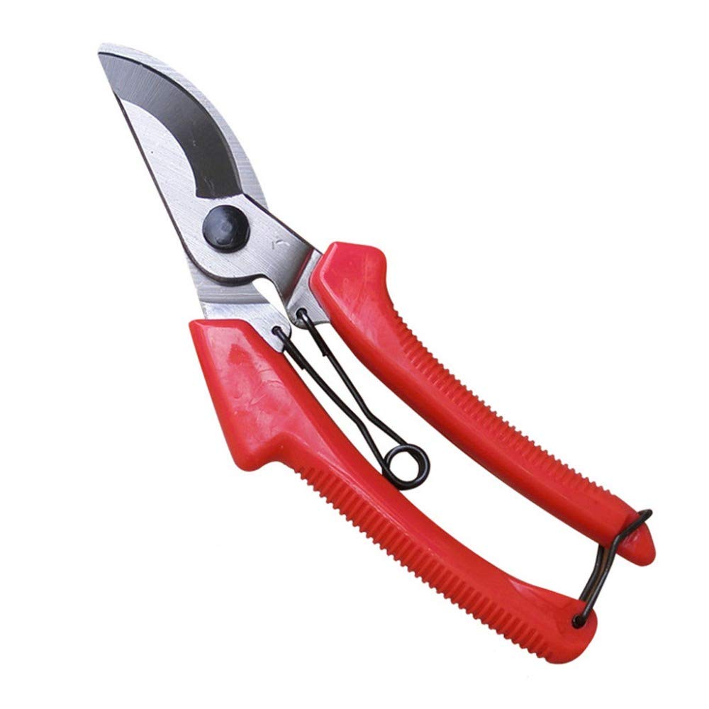 Generic Garden Pruning Shears Pruner Secateur Heavy Duty Lopper Bypass Cutter-image-42