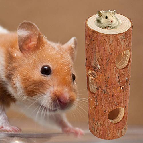 OKBY Tunnel per criceti Tunnel per criceti in