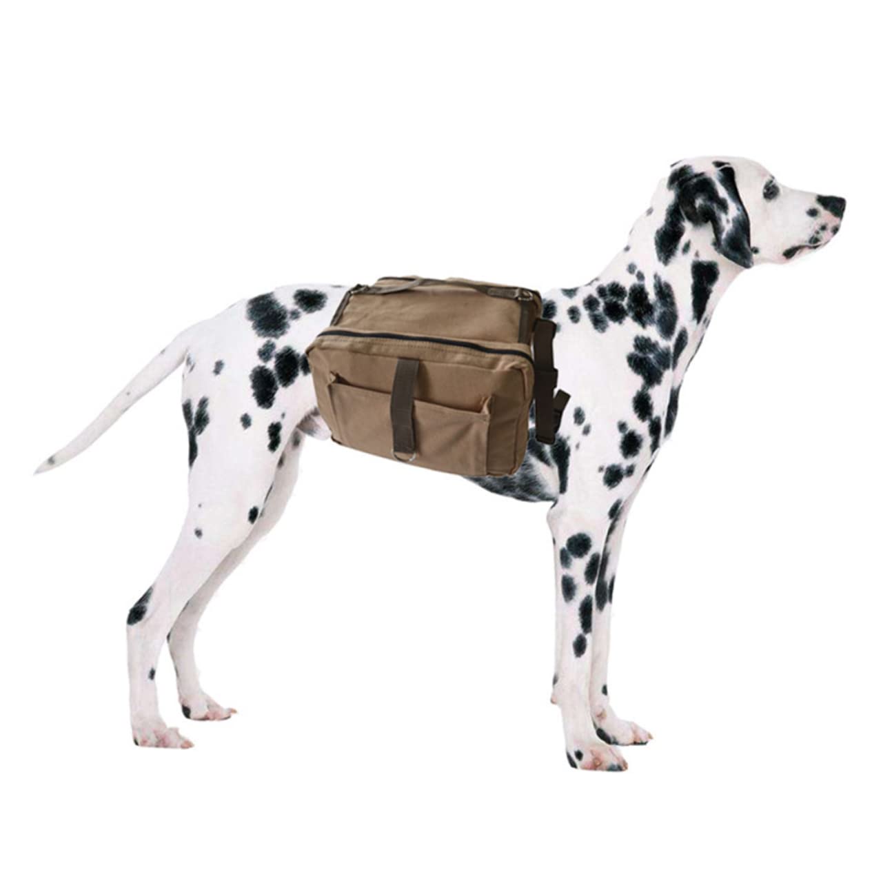 BESPORTBLE Mochila para Perros Hound De Viaje Alforja para Perros Camping Senderismo para Paseos Mascotas