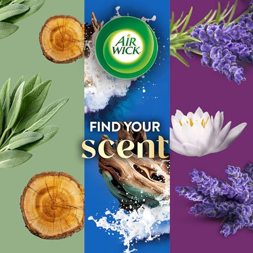 Image of Air Wick Vibrant Plug In Scented Oil Warmer + Refills, Infused with Essential Oils, Plug In Air Fresheners for Home, White Sage & Mahogany, Gadget + 3 ct