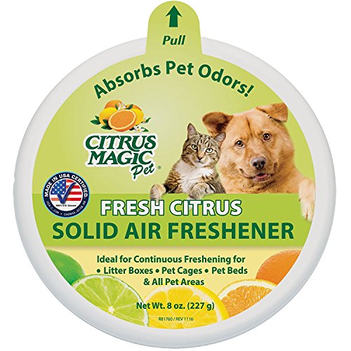 Find The Best Odor Absorber For Pets Reviews & Comparison Katynel