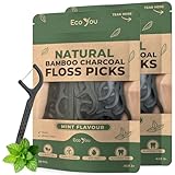 Biodegradable Floss Picks | 100 Count (2 Pack) | Mint Flavor, Candililla Wax | Sustainable & Reusable | Vegan & Cruelty-Free | Bamboo Floss Picks, Bamboo Toothpicks