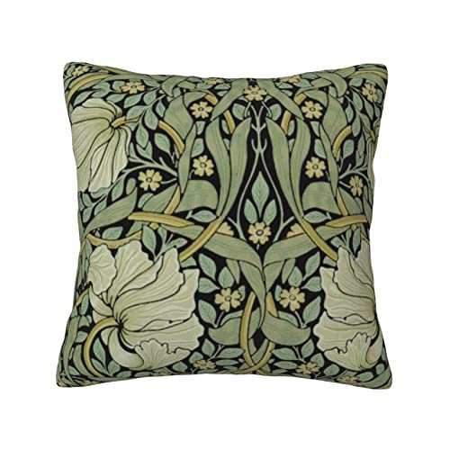 IWiIubN NbVJo[ w Jo[   xxbgn zcJo[ \t@[ xbh  CeA  kfUC ` p^ 50cm × 50cm v[g