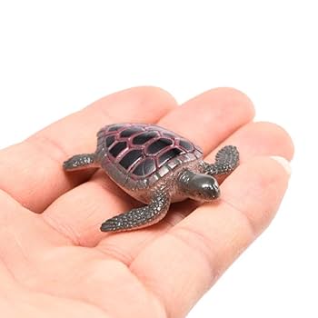 【亀 】ページ　　リクエスト商品のため Amazon | いきもの大図鑑アドバンス カメ01 亀 フィギュア 全4