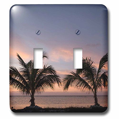 Interrupteur double décoratif pour remplacer une plaque murale unie