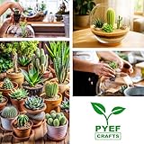 PYEF CRAFTS DIY Terrarium Kit for Succulent Plants & Cactus - Starter Set with Glass Bowl Included - Make your Own Terrarium Kit with Jar, Sand, Soil, Charcoal, Stones and Tools (Without Plants) - Image 7