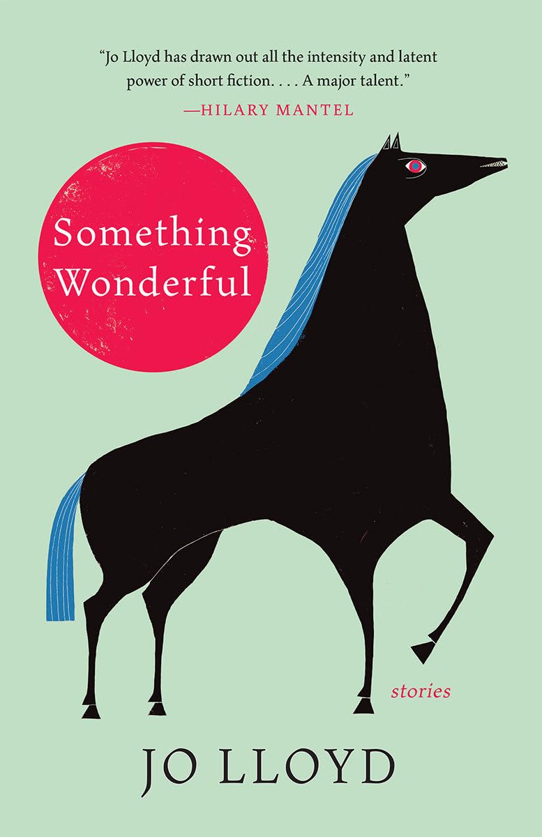 Buy Something Wonderful: Stories — BookShops.in