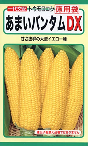 ������Ѓg�[�z�N �g�E�����R�V ���܂��o���^��DX(���p) 03359