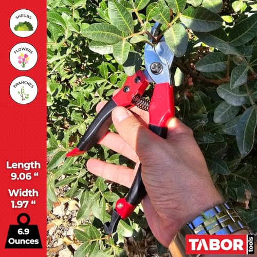 Tijeras de podar TABOR TOOLS S821A con hojas cromadas 3/4 pulg miniatura 5
