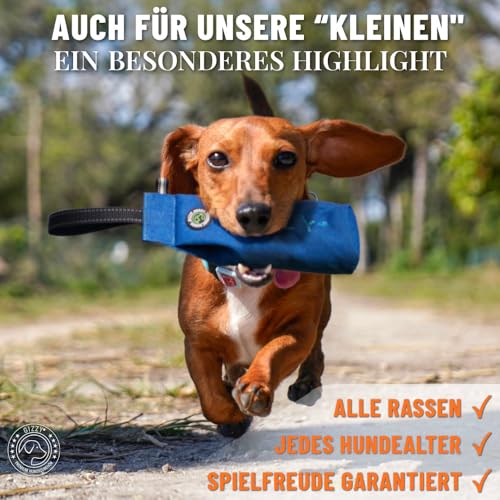GIZZY® DAS ORIGINAL I Futterdummy Hunde I Robuster Hunde Futterbeutel für alle Rassen I Dummy Hundetraining mit Leckerlies - Die Erziehungshilfe für Hunde I Futterbeutel Hundetraining - Hunde Zubehör