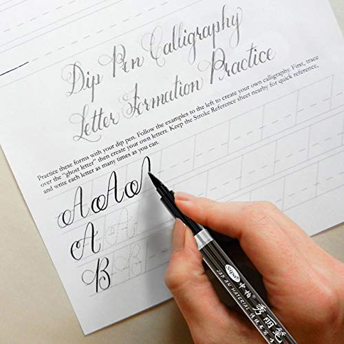 Rilanmit Calligraphy Pens Set For Beginners, Hand Lettering Pens Brush Drawing Markers Kits Chinese Japenese Pens Black Ink For Journaling, Writing, Art Drawing, 3 Size(Pack Of 6) #TOP7