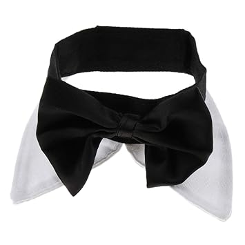 Meri Shopp Adjustable Pet Dog Collar Special Designed Collars for Dogs Cats White L