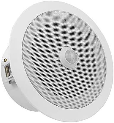 Overhead PIR Motion Sensor Activated Audio Player
