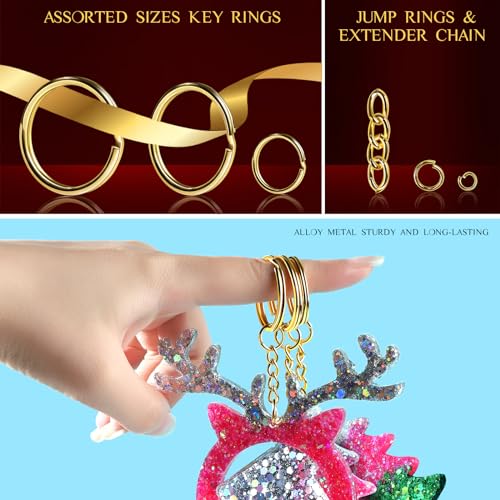 image for LEOBRO Keychain Making Kit, 265PCS Keychains Clips and Key Rings, Meta