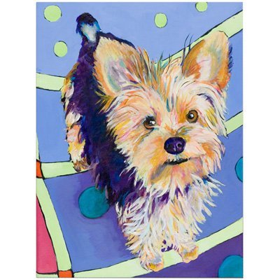 Trademark Fine Art Claire by Pat Saunders-White Canvas Artwork, 26 by 32-Inch