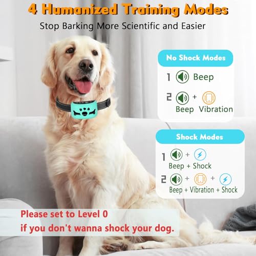 Dog Wearing BXQ Bark Collar