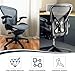 SINOLUXE Upgrade PostureFit Butterfly Lumbar Support Replacement for Herman Miller Aeron Chair,only for Aeron Classic Chair Size A/B/C（Graphite Black）