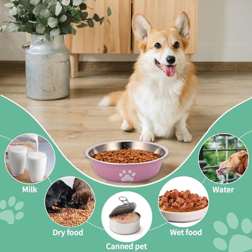 Hundenapf Edelstahl, 3 Stück Hund Napf Futternapf Wassernapf Hundeschüssel Fressnapf Set mit Rutschfestem Gummi für Kleine Hunde Katzen (860ml)