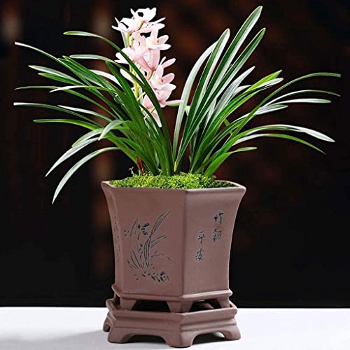 Pot de fleur en sable violet avec base pour eviter les fuites d'eau