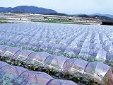 農ポリ 厚さ0.1mmX幅180cmX長さ100m