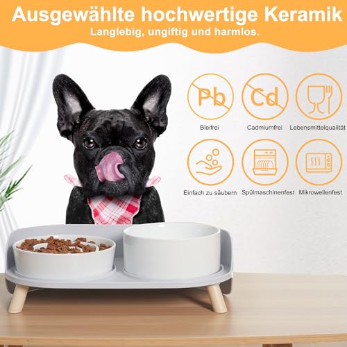 Antischlingnapf Hund Keramik Napfset erhöht - Hundenapf für langsames Fressen - Doppel-Fressnapf für kleine und mittelgroße Hunde - Futternapf & Wassernapf mit rutschfestem Ständer