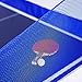 LinaLife Table Tennis Ball Catch Net Ping Pong Ball Collecting Net Training Tool Table Tennis Robot for Serve Catcher Equipment for Ball Collection Serve or Multi-Ball Training