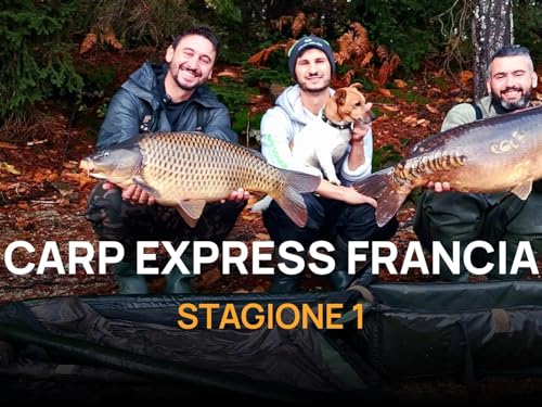 Carp Express Francia