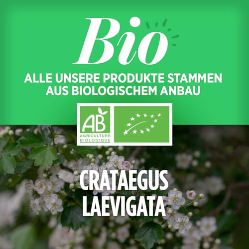Bio Weissdorn 1200 mg pro Tag - Hawthorn - 400 tabletten | Premium Naturprodukt & Rein pflanzlich