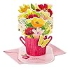 Hallmark Paper Wonder Mothers Day Pop Up Card Flower Bouquet You Deserve This Day