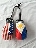 USA & Philippines Mini Boxing Glove Combo