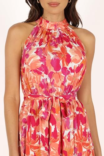 Petal & Pup Women's Caroline Maxi Halter Dress2