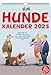Hund und günstig Kaufen-Uli Stein Kalender 2025 - Hundekalender + 5 Postkarten - Wandkalender für 2025 - Jahreskalender 2025 mit 12 Motiven & Spiralbindung - Cartoon Kalender