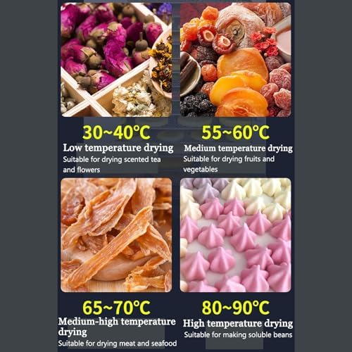 Commercial Food Dehydrator - 1000W 6-Layer Freeze Dryer with 24-Hour Timer, Max Temp 194°F, 360° Circulation for Jerky, Fruits, Vegetables & More