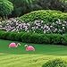4E's Novelty 2 Pink Flamingos Yard Decorations - Extra Large 24