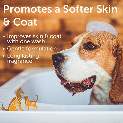 Nootie - Pet Shampoo For Sensitive Skin - Revitalizes Dry Skin & Coat - Natural Ingredients - Soap, Paraben & Sulfate Free - Cleans & Conditions,16 Oz #TOP3